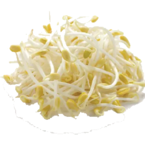 Beansprout