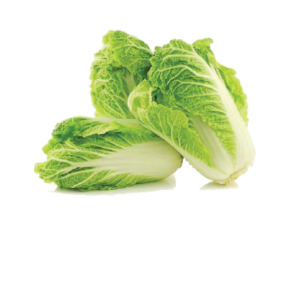 Chinese Cabbage (Kh)