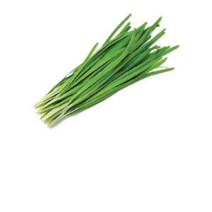 Chive Leaf