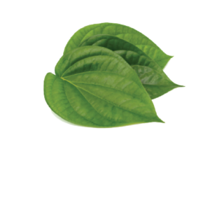 Betel leaf