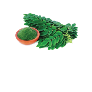 Moringa Leaf