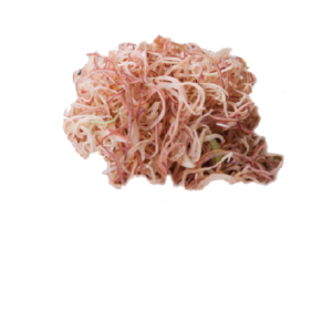 Banana Flower Sliced