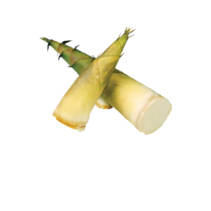 Bamboo Shoot Whole