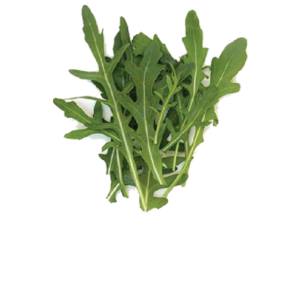 សាឡាត់ រ៉ូកែតតូច