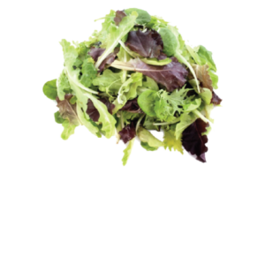 Mixed Lettuce