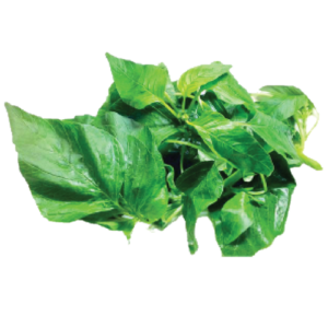 ស្លឹកផ្ទីសខ្មែរ