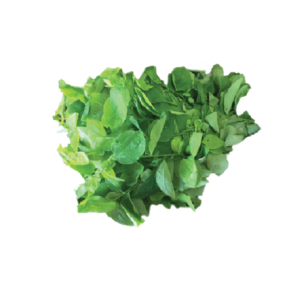 Star Gooseberry Leaf