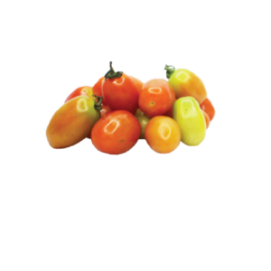 Red Cherry Tomato