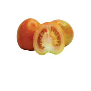 Ripe Tomato