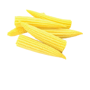 Baby Corn