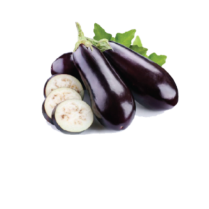 Egg Plant