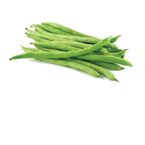French Bean