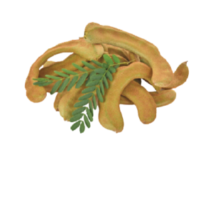Green Tamarind