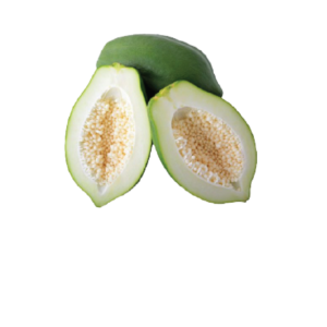 Green Papaya