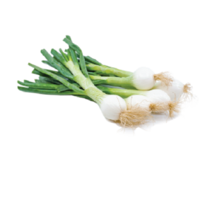 Spring Onion
