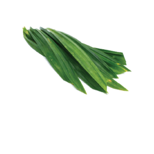 Pandanus Leaf