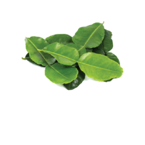 Lime Leaf