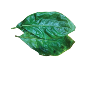 Amok Leaf