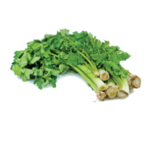 Celery Wwith Leaf