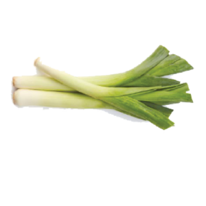 Leek