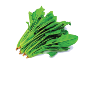 Chinese Spinach