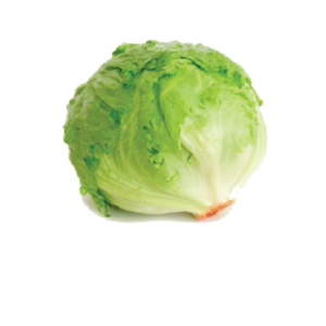 Ice Berg Lettuce