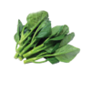 Baby Kale