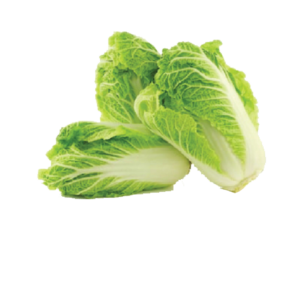Small Chinese Cabbage