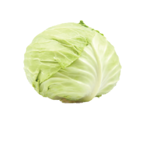 Round Cabbage