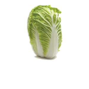 Chinese Cabbage