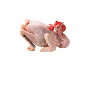 Khmer Chicken (Cleaned)