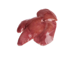 Pork Liver