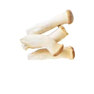 Big Chicken Mushroom