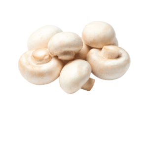 Small Chicken Mushroom​