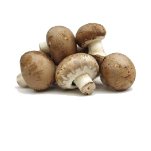 Brown Buttom Mushroom
