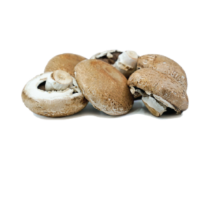 Porttabellow Mushroom