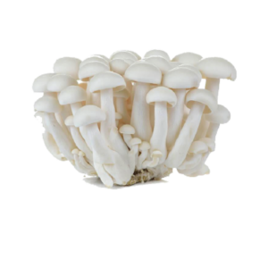 White Mushroom