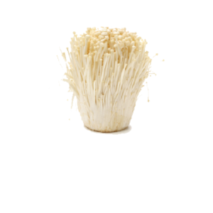 Small Golden  Mushroom