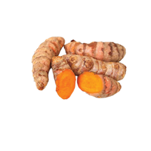 Fresh Tumeric