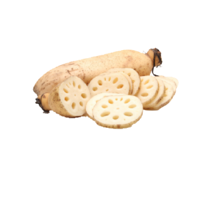 Lotus Root