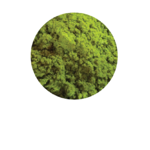 Khmer Spiced (Korko Khmer Soup)