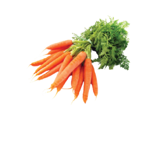 Baby Carrot