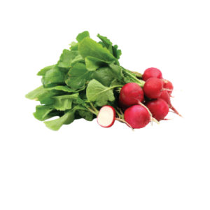 Red Radish