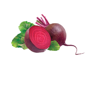 Beet Root(Yen)