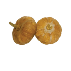 Small Pumpkin​