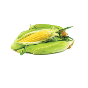 Yellow Young  Corn