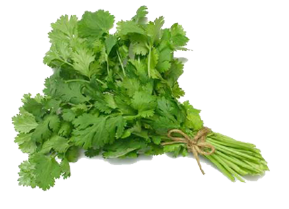 ប្រភេទ ជី នាំចូល