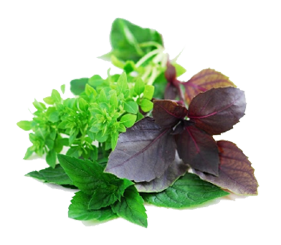 ប្រភេទ ជី ក្នុងស្រុក