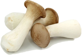 ប្រភេទ ផ្សិត​ នាំចូល