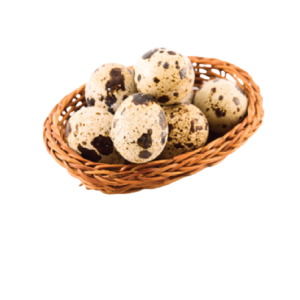 Quail Egg